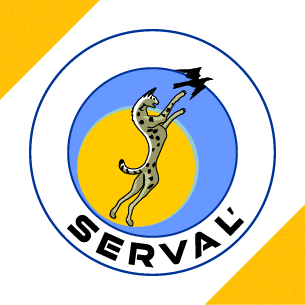Professional logo design — work sample 36